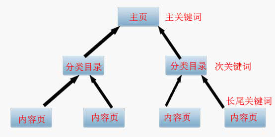 The main, secondary and long keywords of SEO optimization are coordinated to improve conversion rate