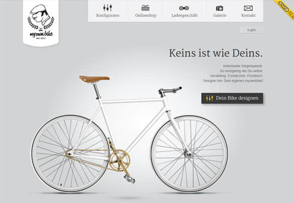  Website Design