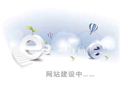  Website construction