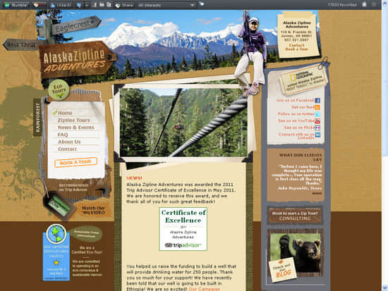 Website design
