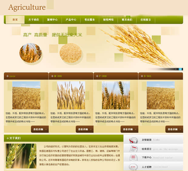 Website Design