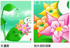 Vectorgraph