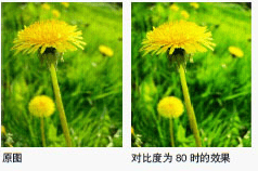 contrast ratio