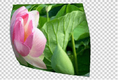 A pillow effect made by 3D tools