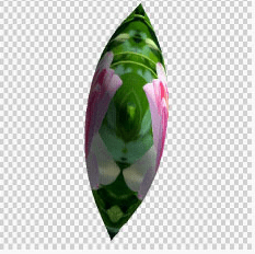 Pictures made by 3D rotating camera