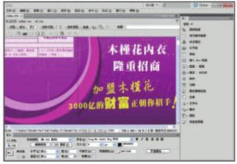 Web page editing software