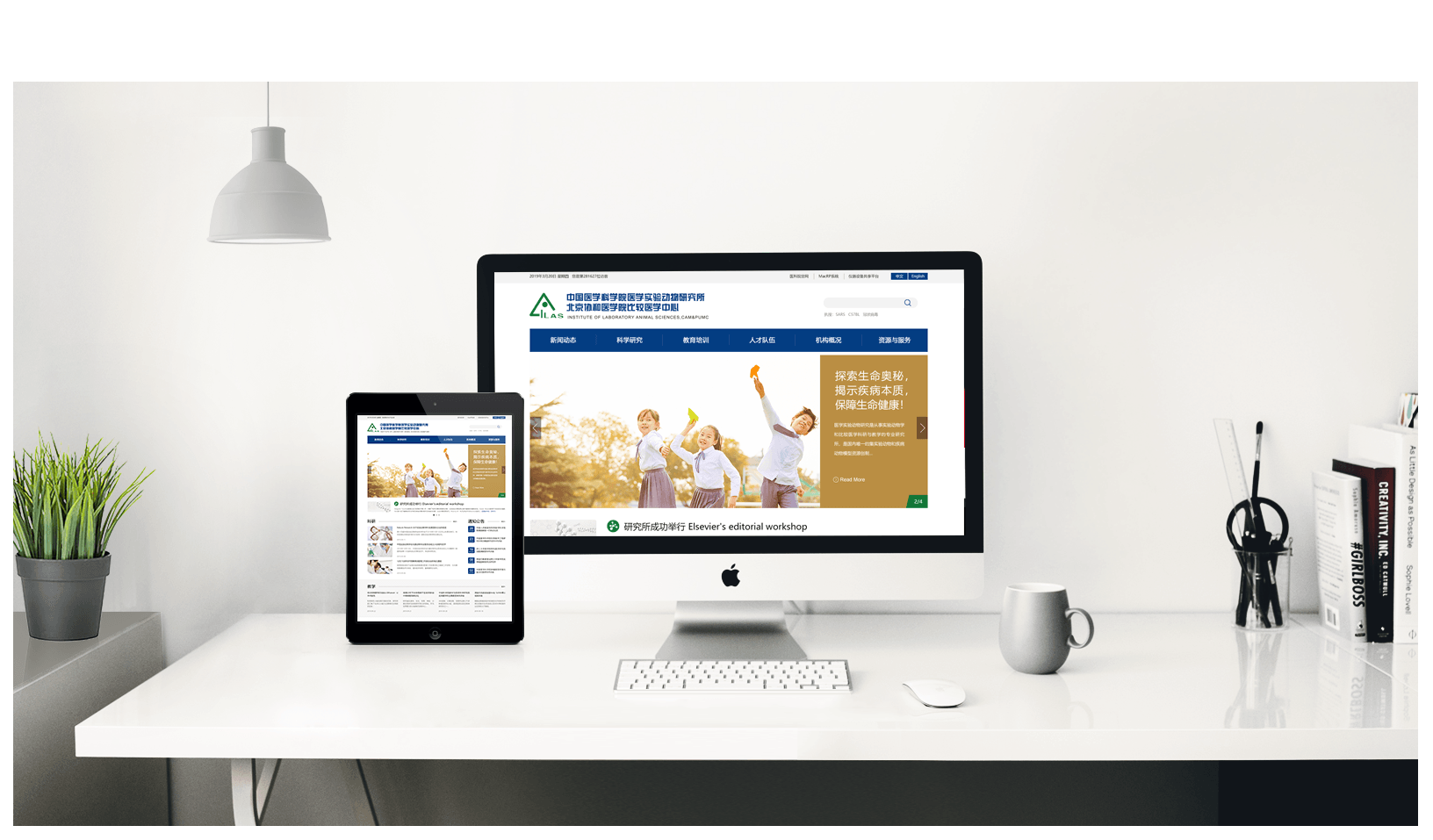   Zhengzhou website construction analysis How to build enterprise O2O website?