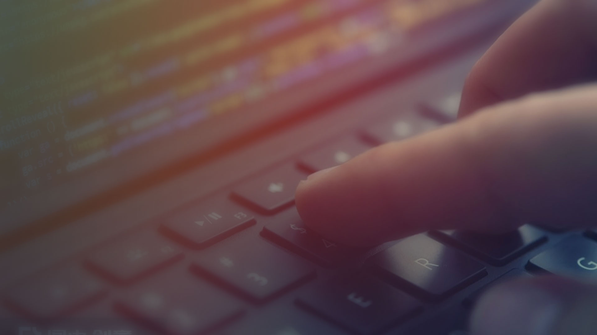 Website production program development